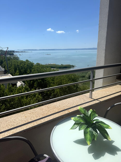 club218apartman_silver_chill
